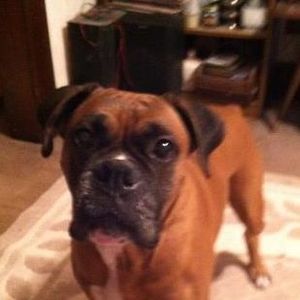 Meet your Posher, Brenda